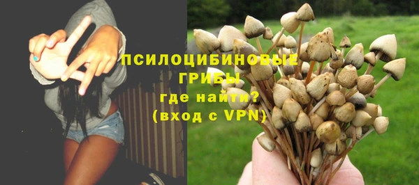 ПСИЛОЦИБИНОВЫЕ ГРИБЫ Балабаново