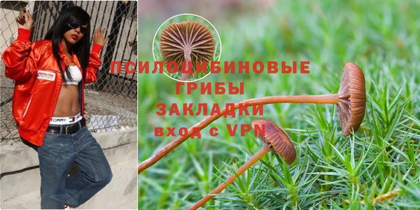 ПСИЛОЦИБИНОВЫЕ ГРИБЫ Балабаново