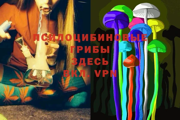ПСИЛОЦИБИНОВЫЕ ГРИБЫ Балабаново